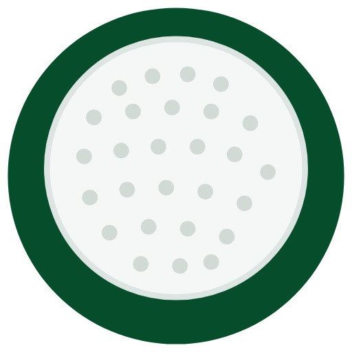 BirdieDuel icon